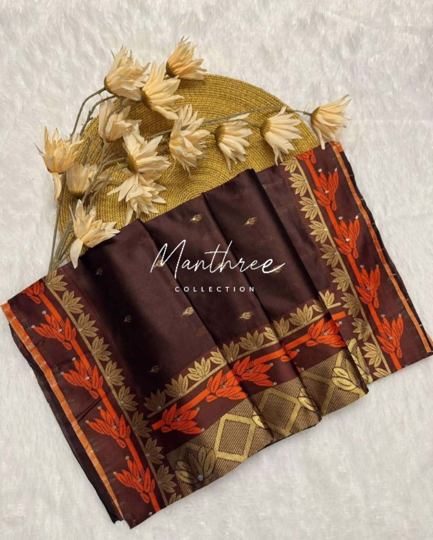 Ashika rangnath brown kanjivaram silk saree