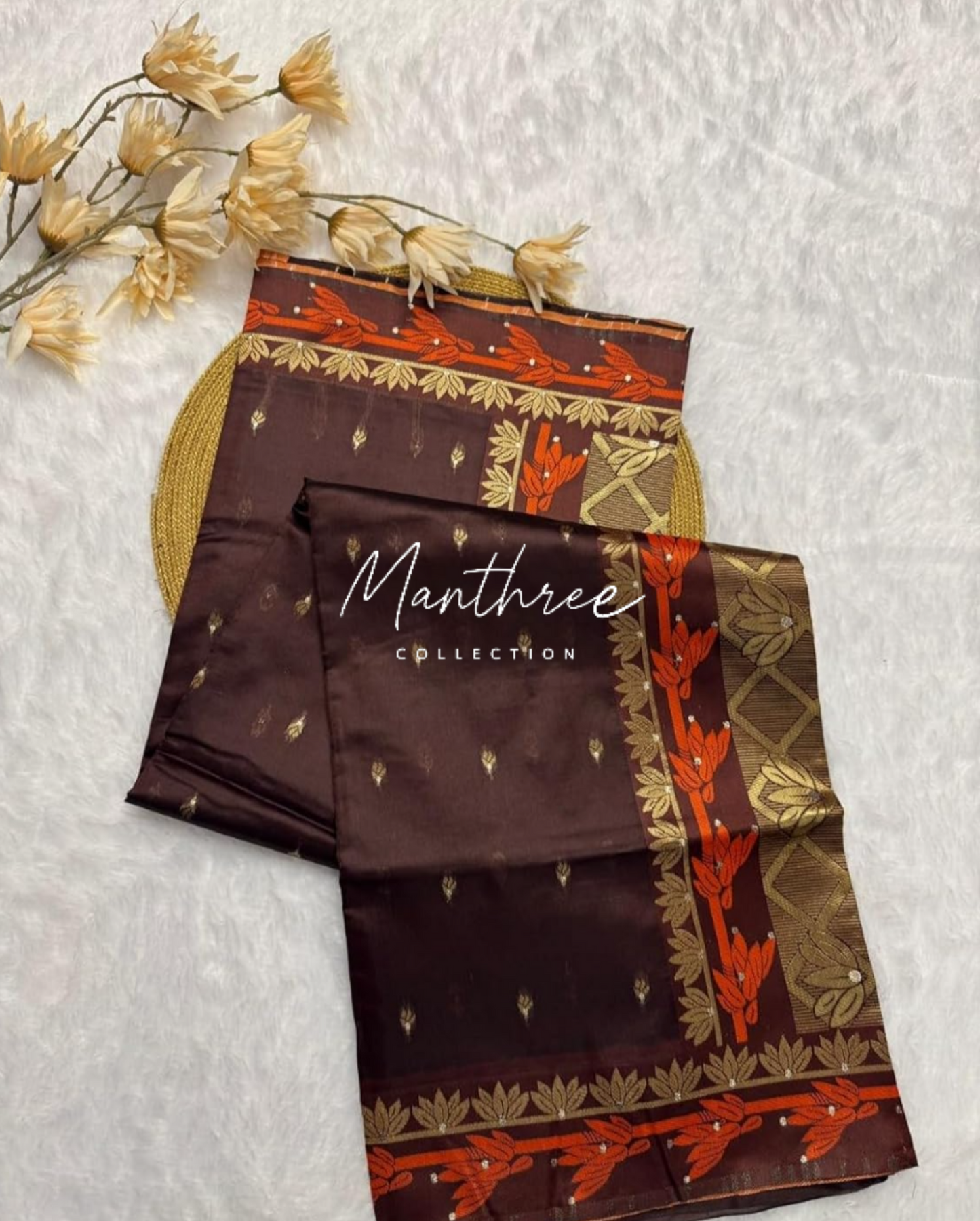 Ashika rangnath brown kanjivaram silk saree