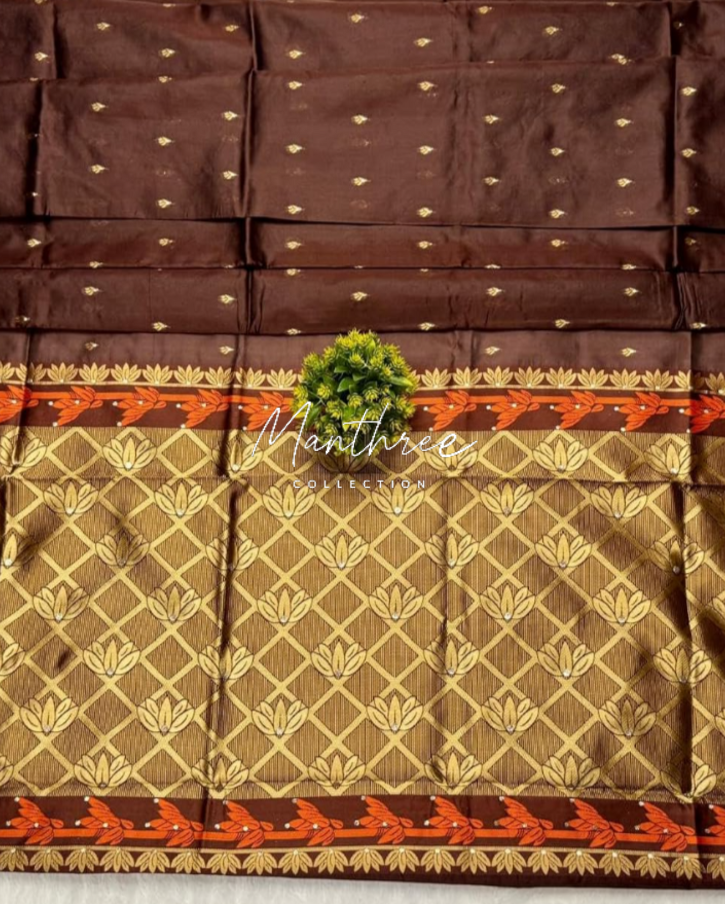 Ashika rangnath brown kanjivaram silk saree