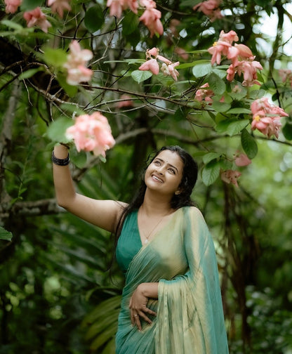Tissue silk saree
