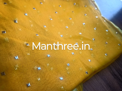 Anju celebrity saree