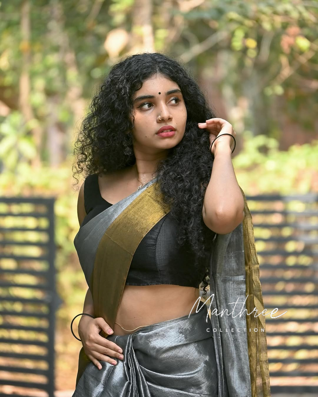 Gold & silver tissue saree