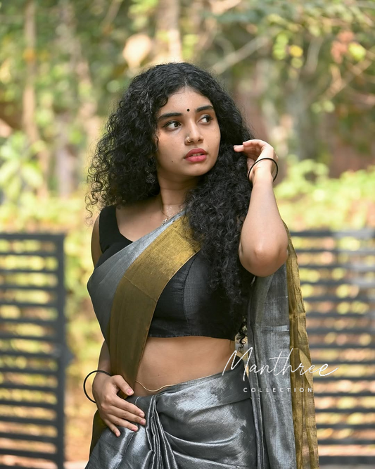 Gold & silver tissue saree