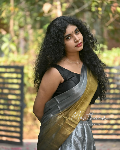 Gold & silver tissue saree