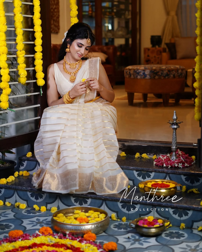 Pragya nagara tissue silk saree