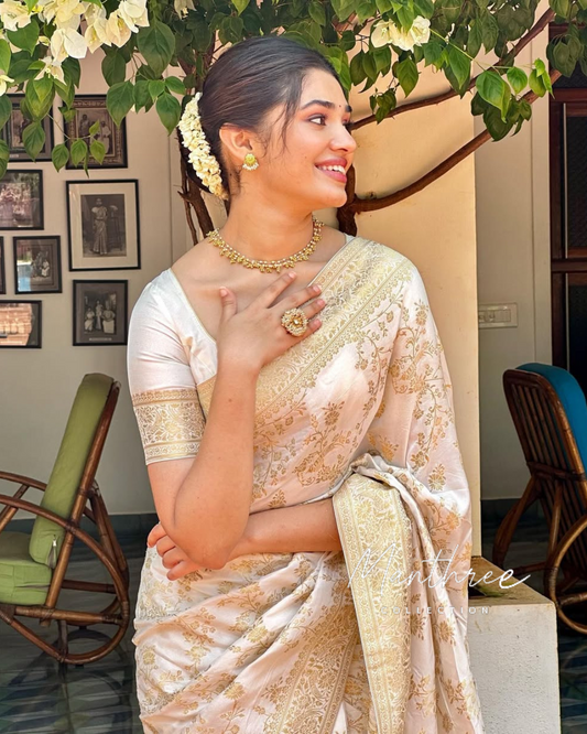 Krithi shetty kanjivaram soft silk saree