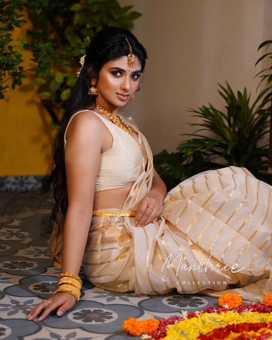 Pragya nagara tissue silk saree