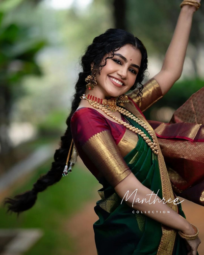 Anupama kanchipuram silk saree