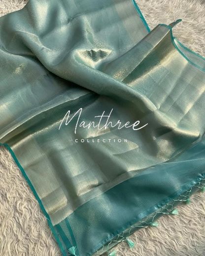 Nayanthara kanjeevaram silk saree