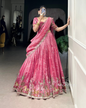 Beauty Lehenga Choli