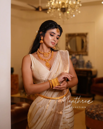 Pragya nagara tissue silk saree