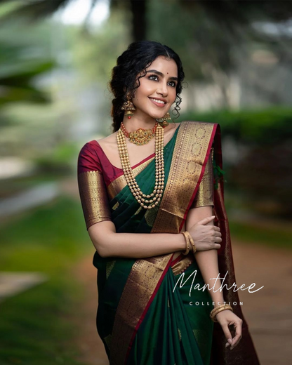 Anupama kanchipuram silk saree