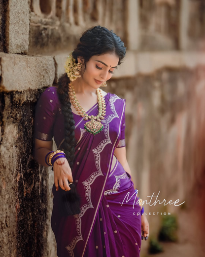 Ananya Nagalla purple kanjeevaram silk saree