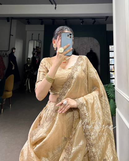 Beauty Lehenga Choli