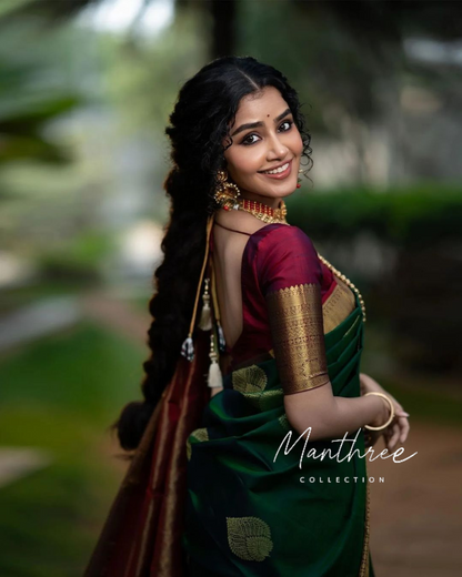 Anupama kanchipuram silk saree