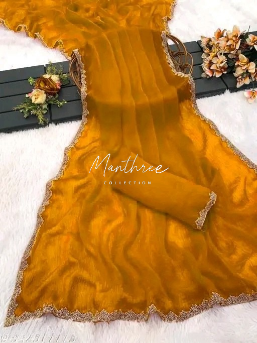 Chimmy choo organza silk saree